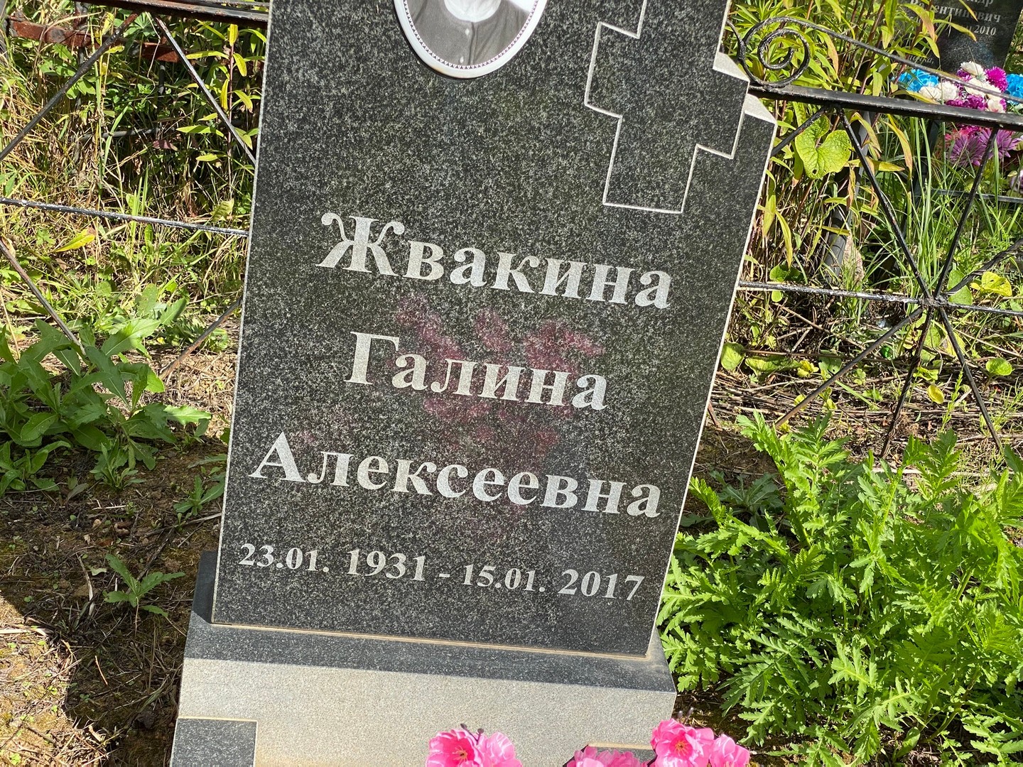 Жвакина