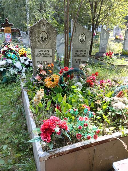 Михалева Анастасия Николаевна