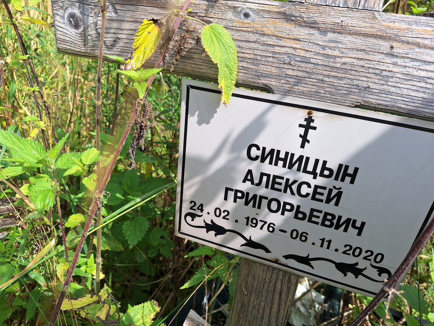 Синицын