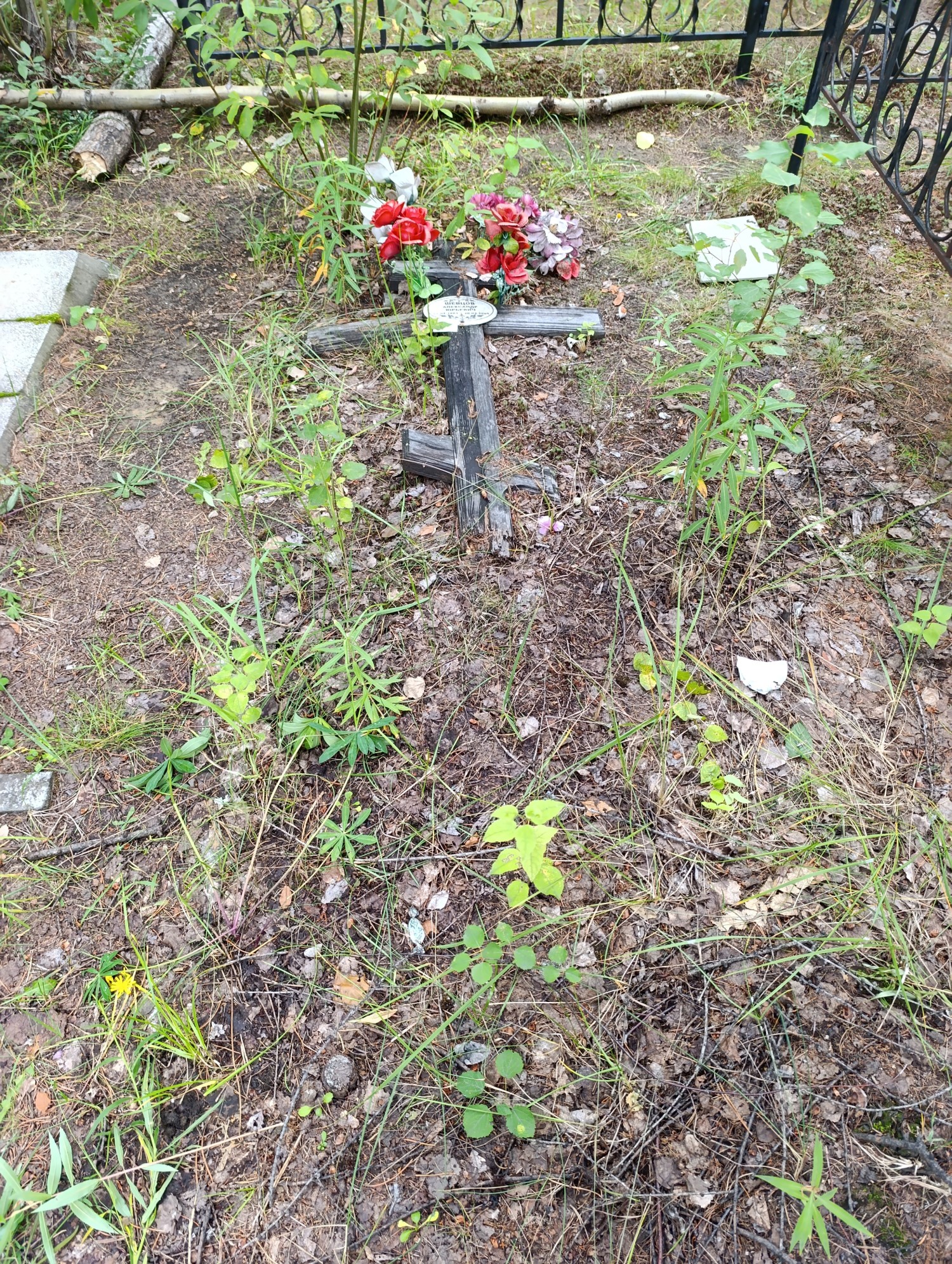 Шевцов Александр Юрьевич
