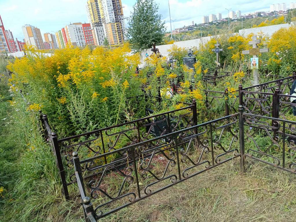 Шкода Василий Акимович