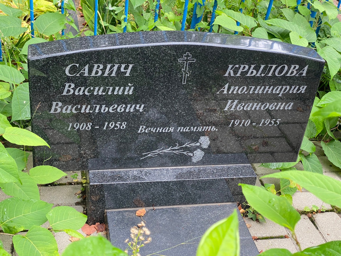 Савич