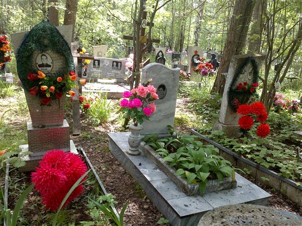 Птухин Николай Никонорович