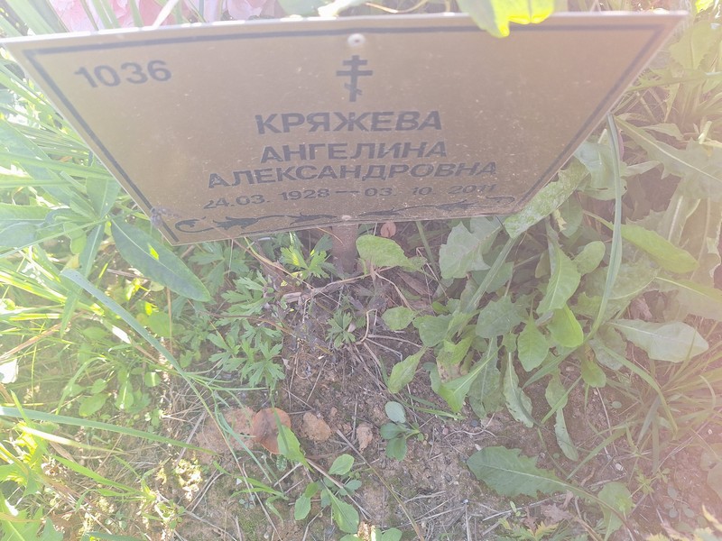 Ангелина Кряжева Александровна