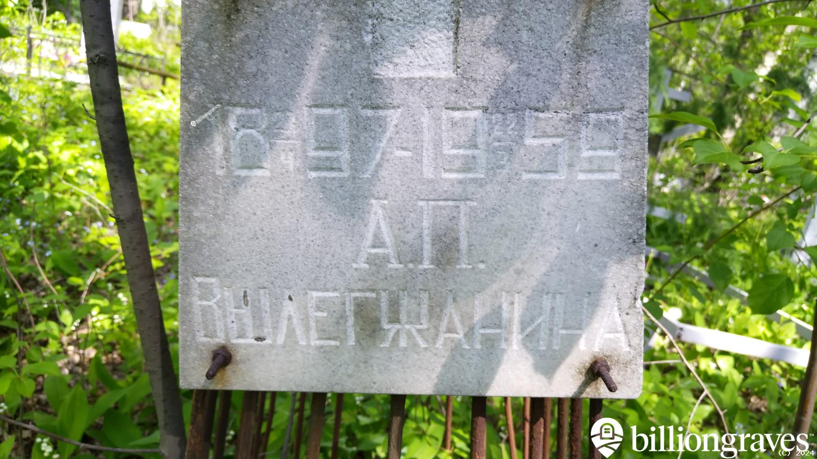 Вылегжанина А. П.