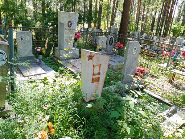 Ростовская Анна Сергеевна
