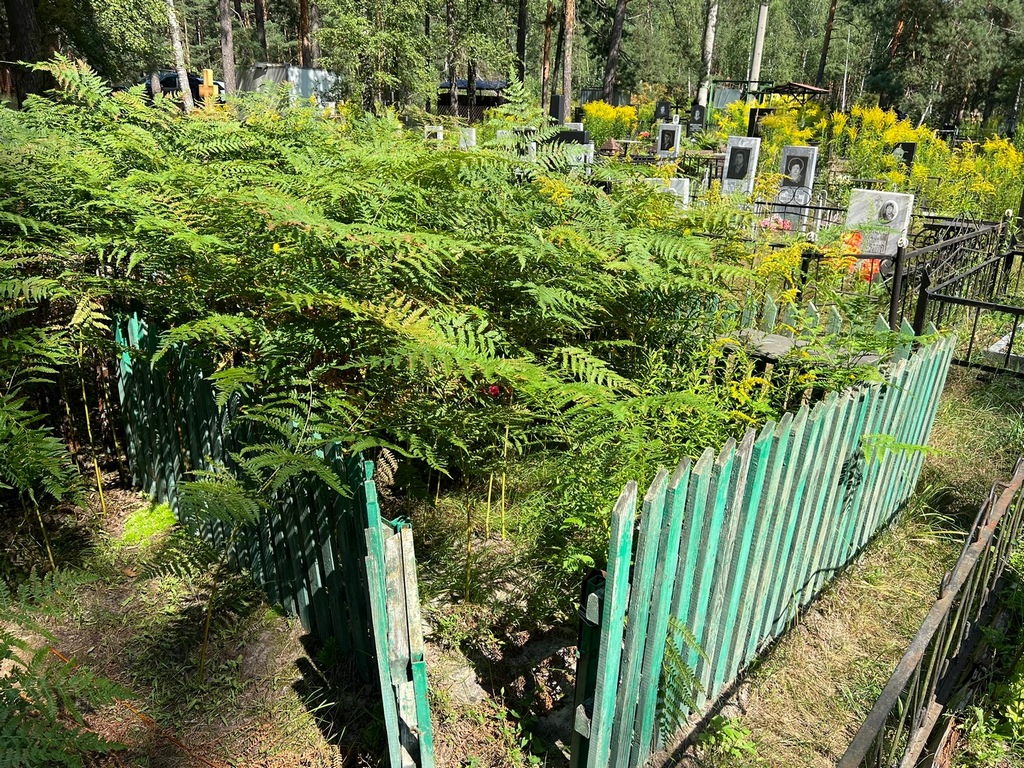 Салейкина Матрена Андреевна