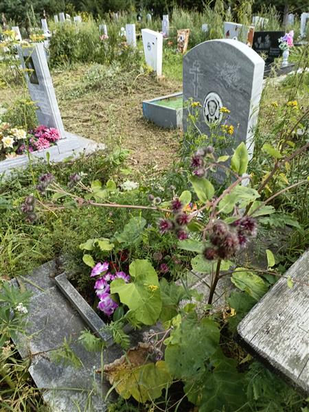 Шамилов Сергей Габдрашитович