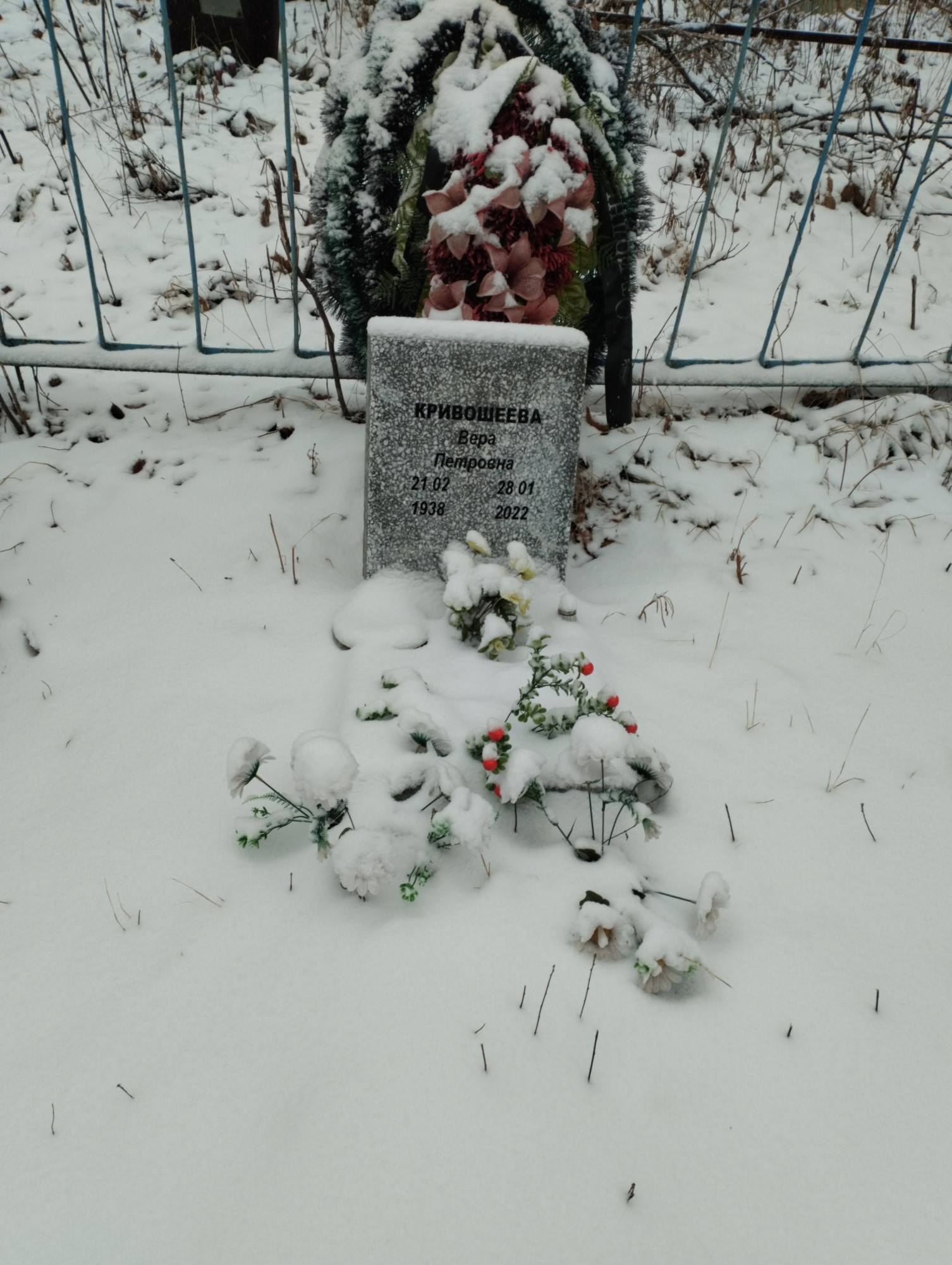 Кривошеева Вера Петровна