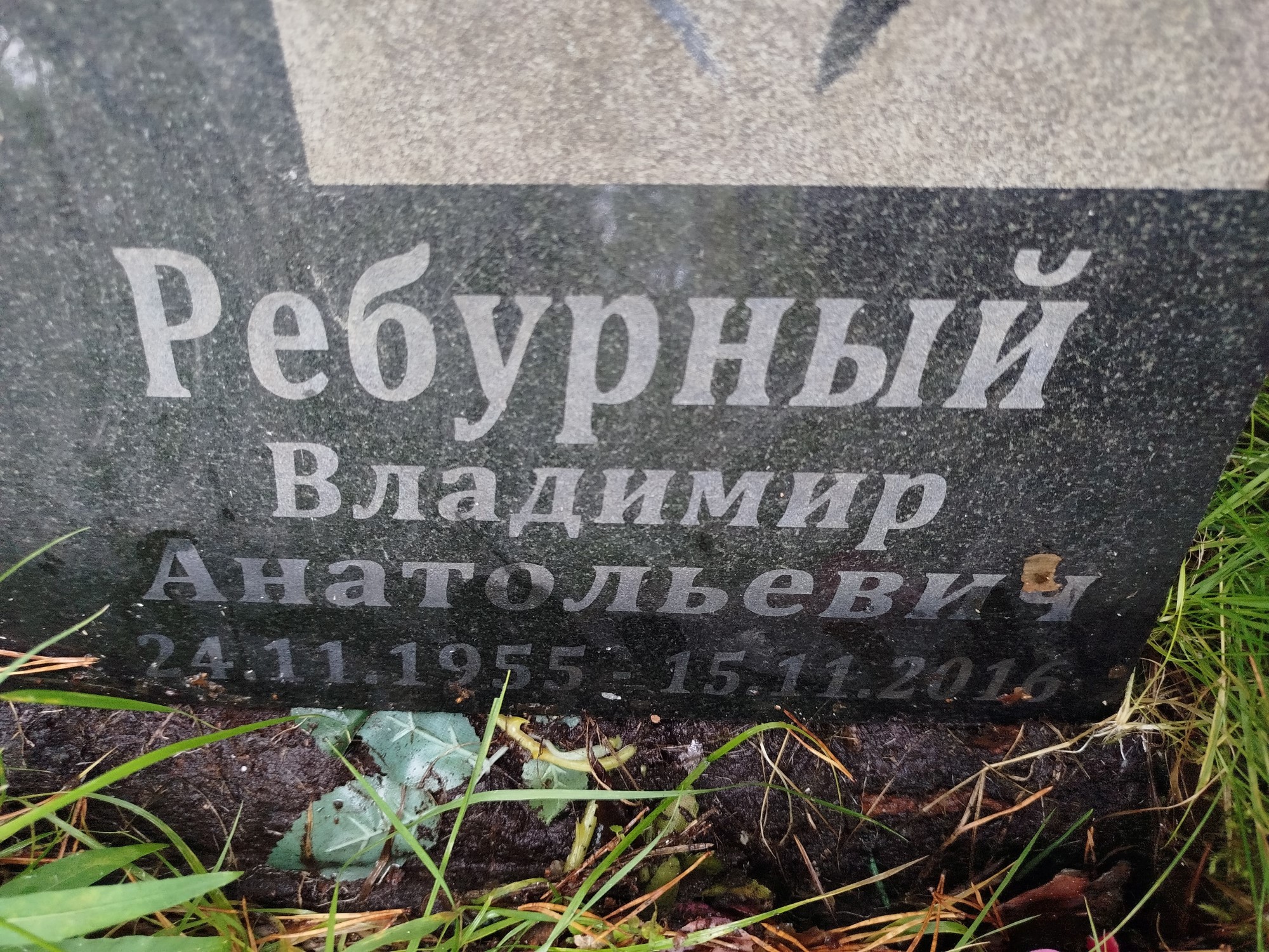 Ребурный Владимир Анатольевич