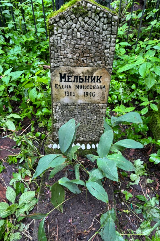 Мельник Елена Моисеевна