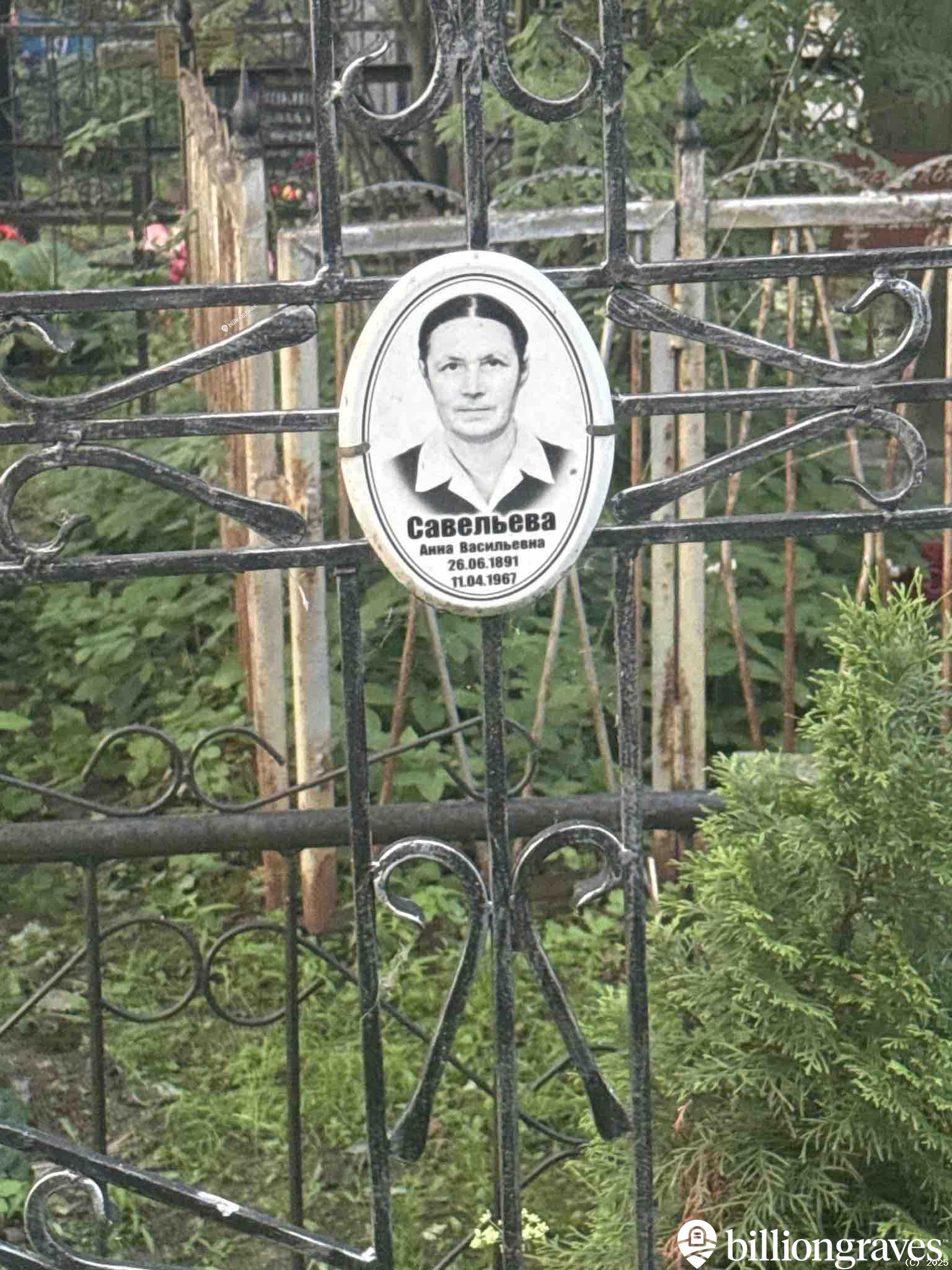 Савельева Анна Васильевна