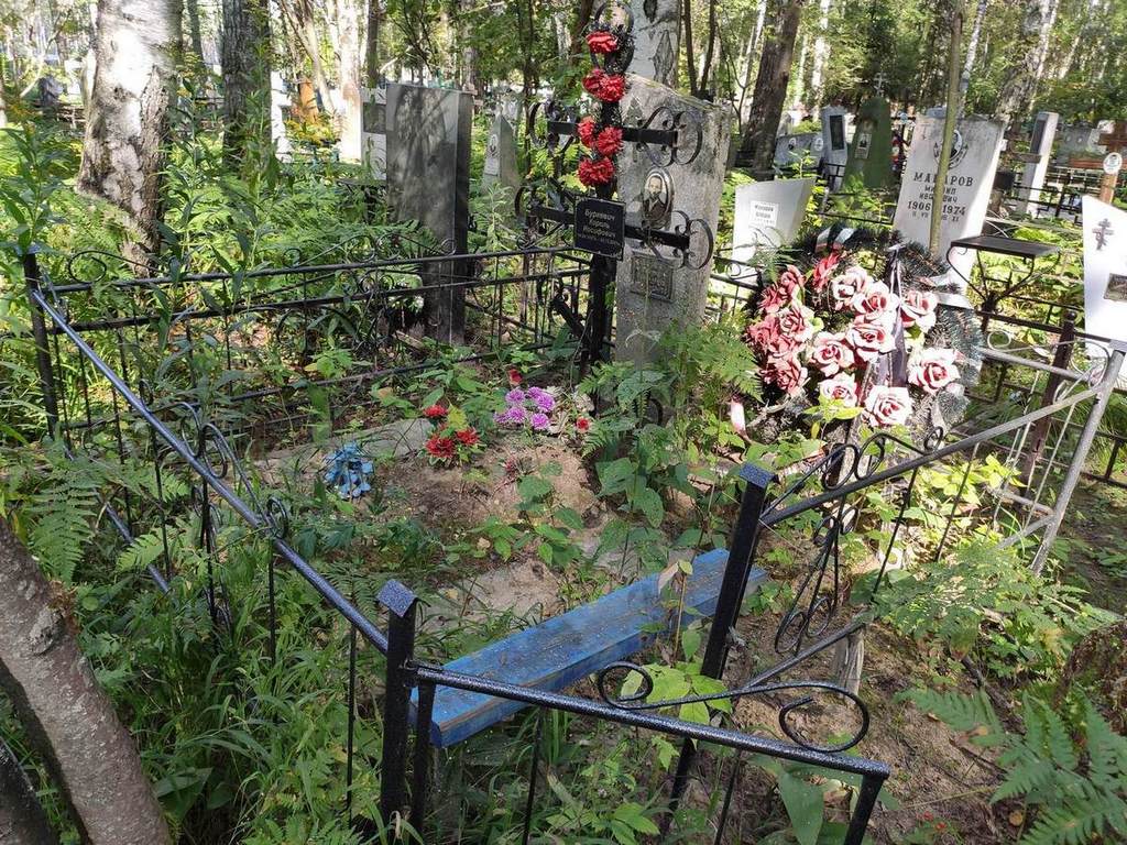 Буркевич Король Иосифович