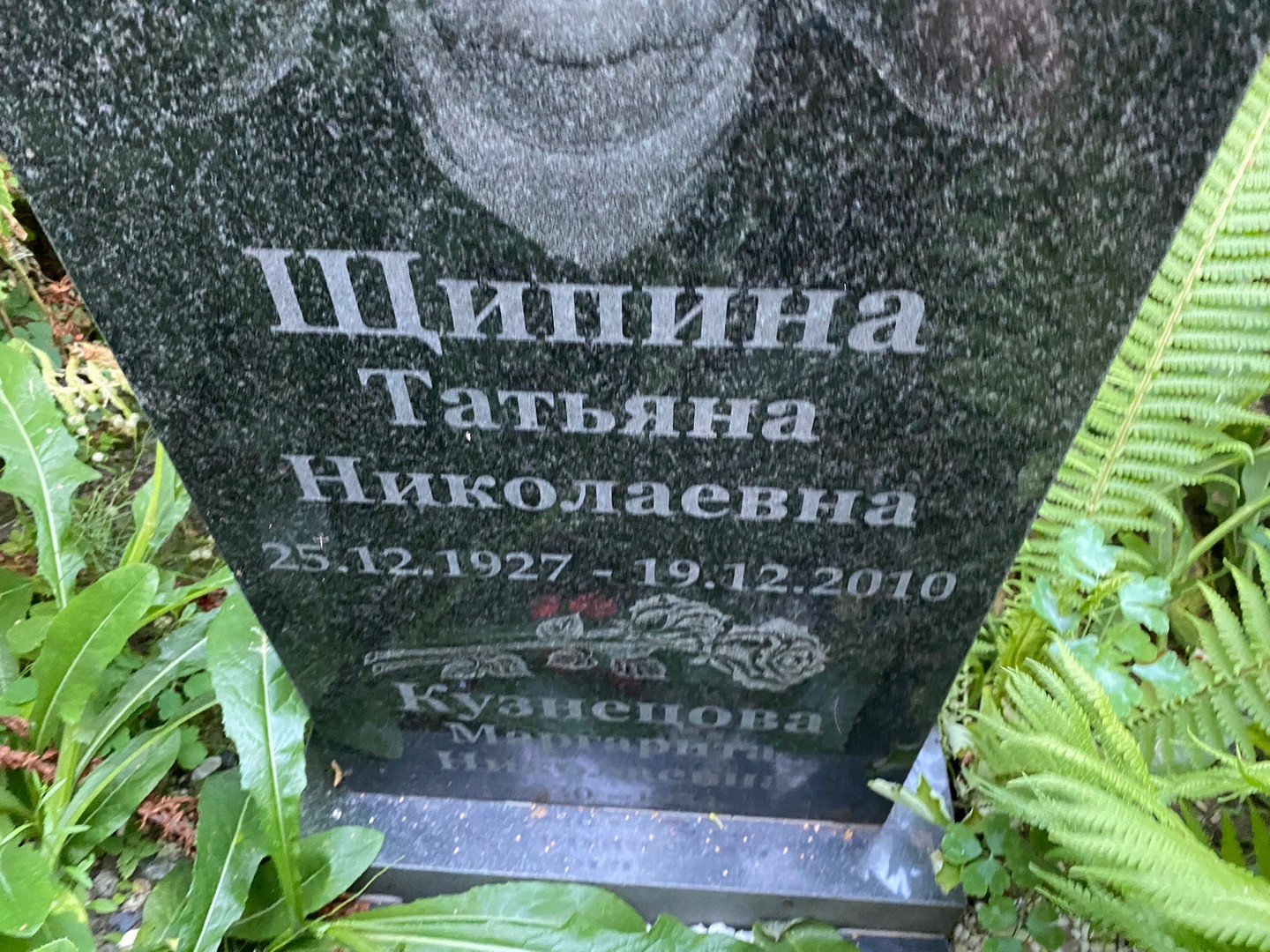 Щипина