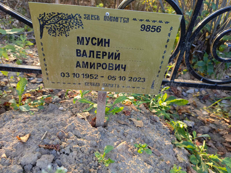 Мусин