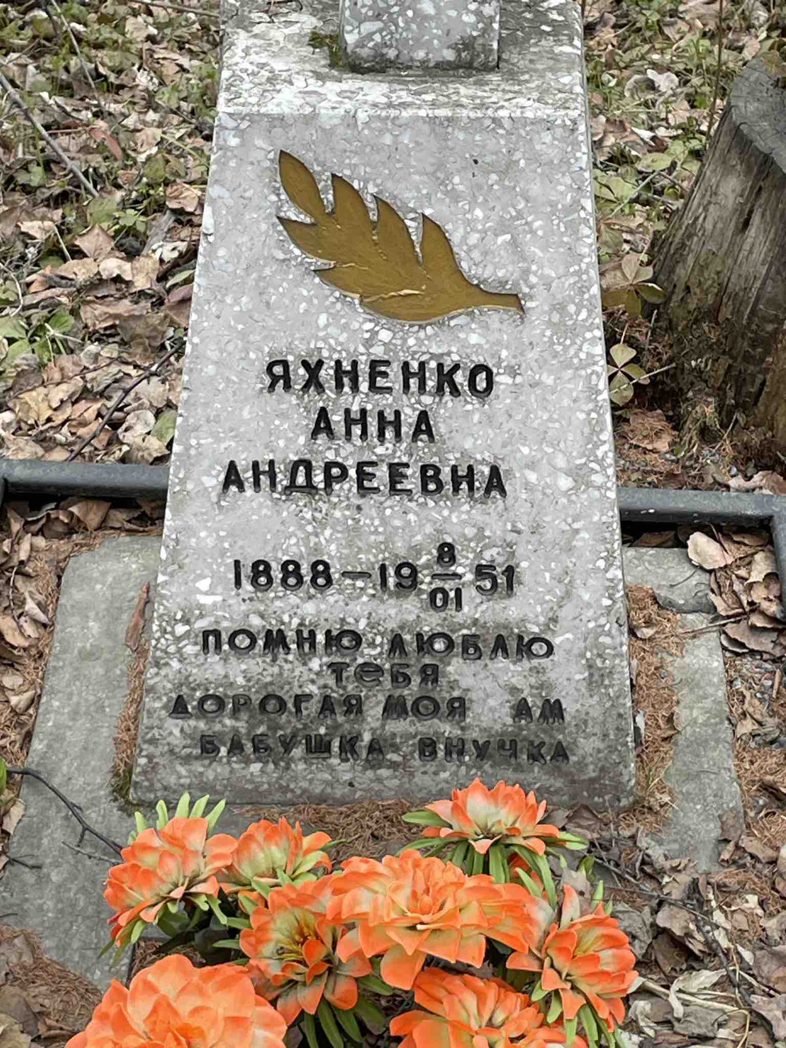 Яхненко Анна Андреевна