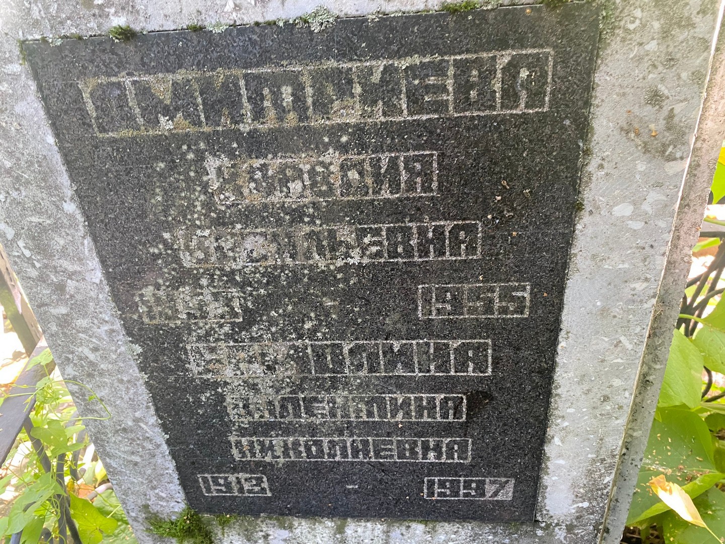Дмитриева