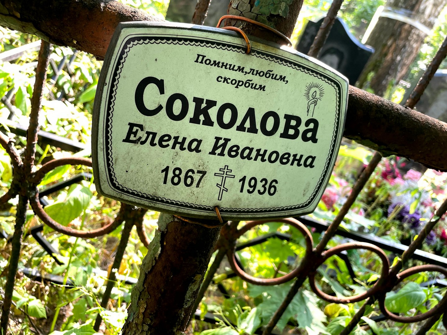 Соколова