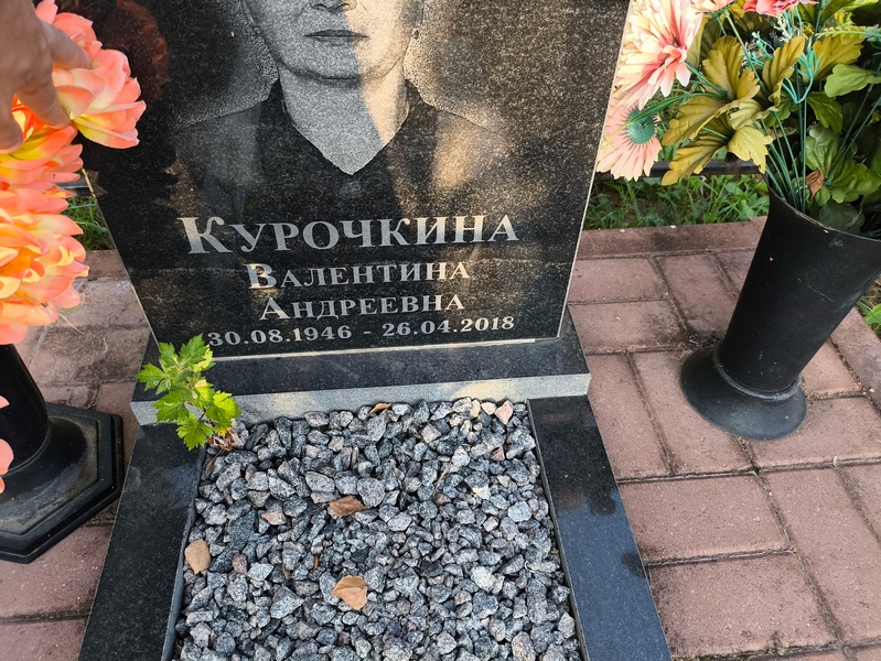 Курочкина