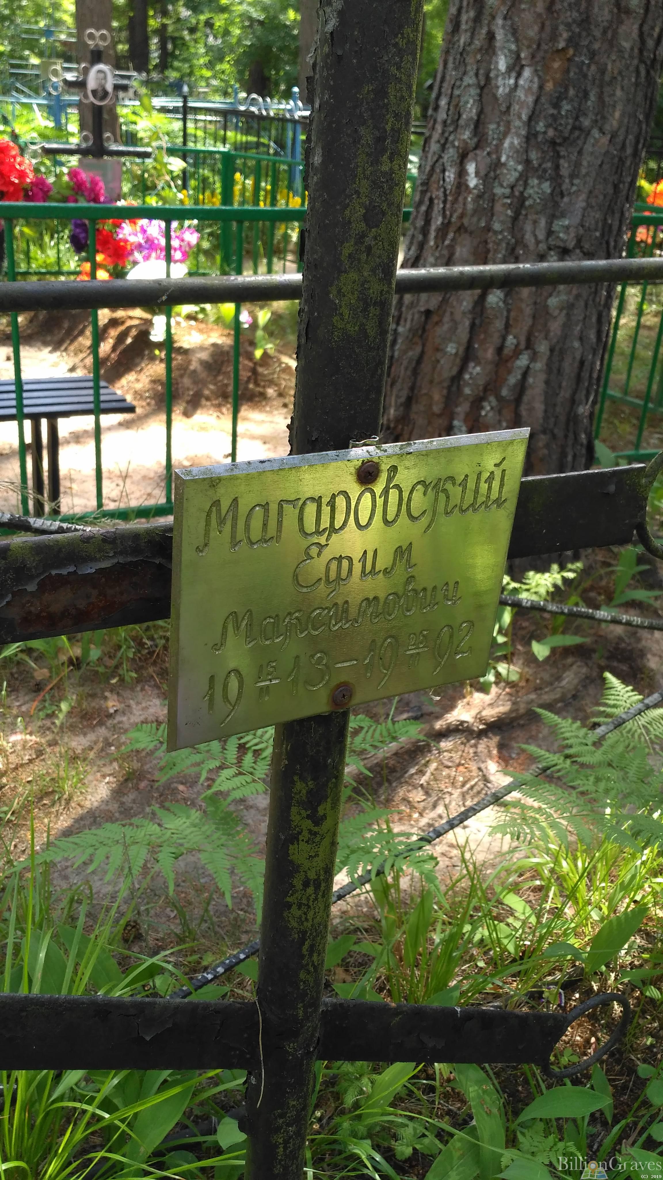 Магаровский Ефим Максимович