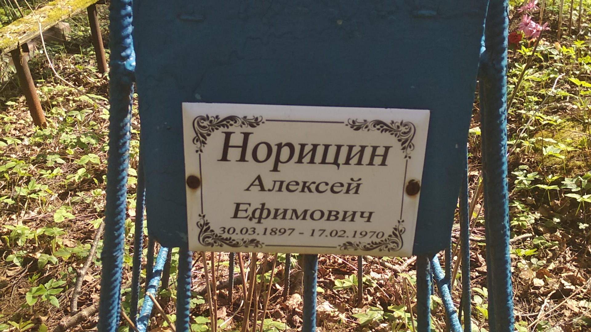 Норицин Алексей Ефимович