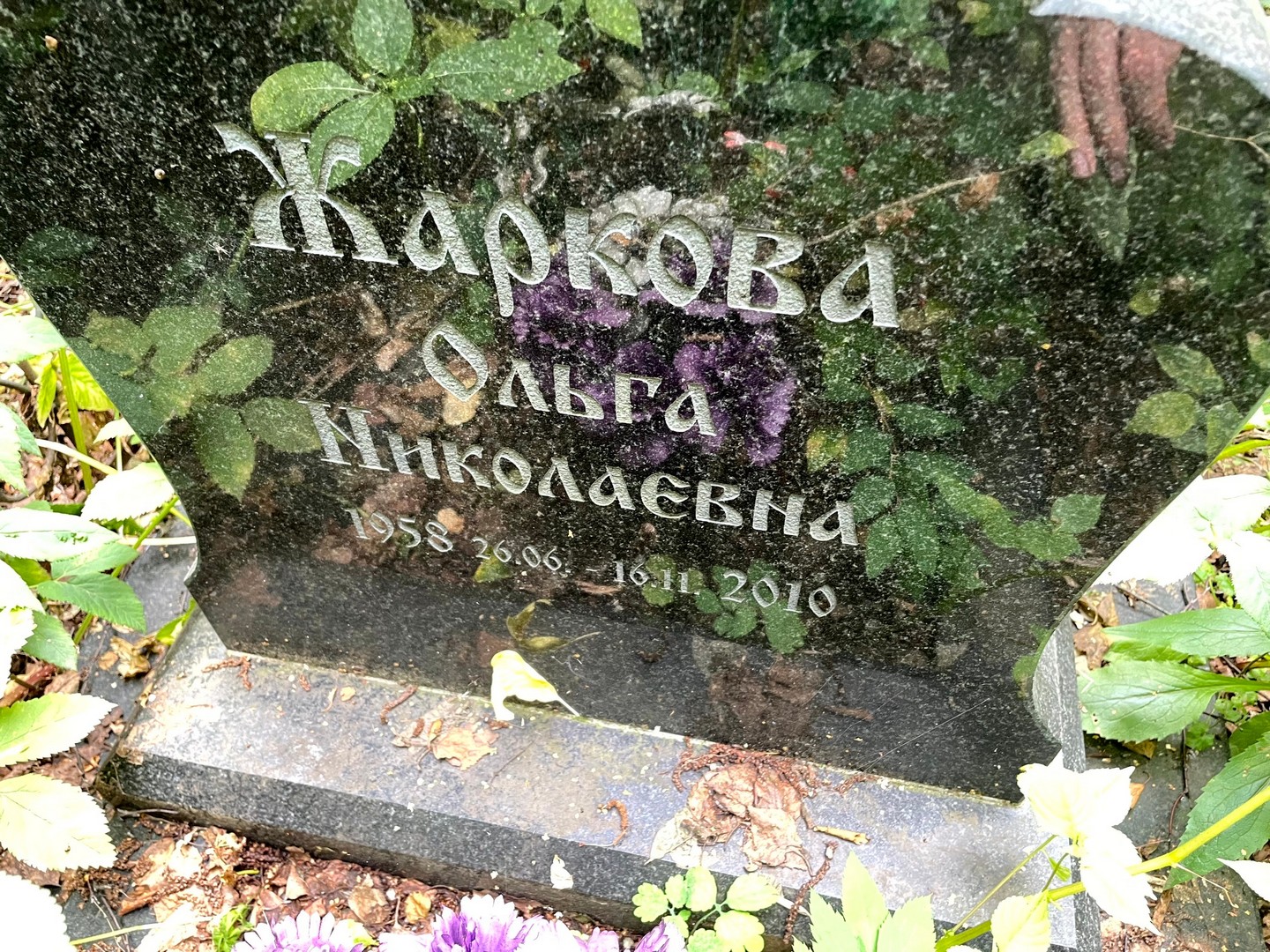 Жаркова