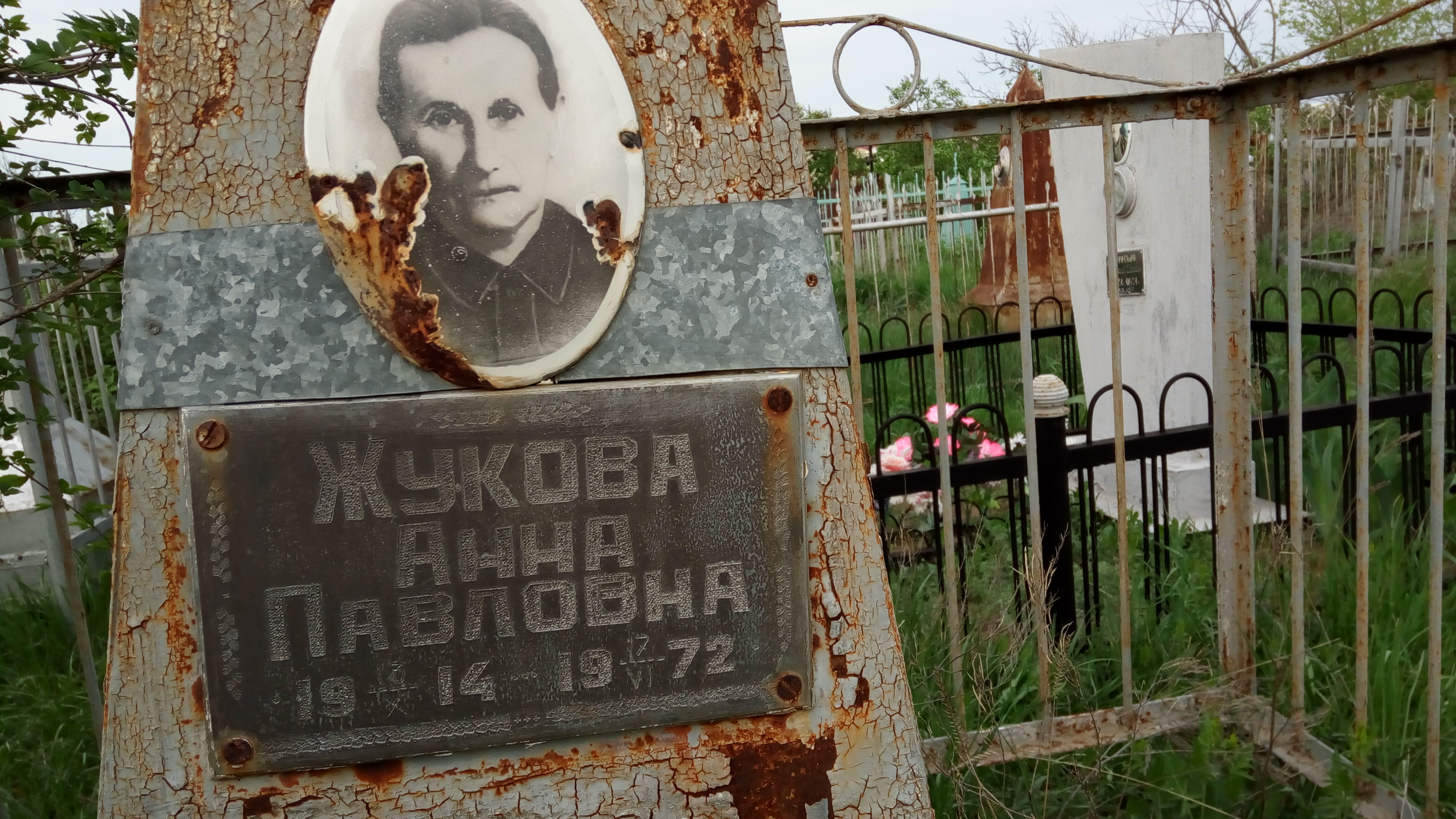 Жукова Анна Павловна