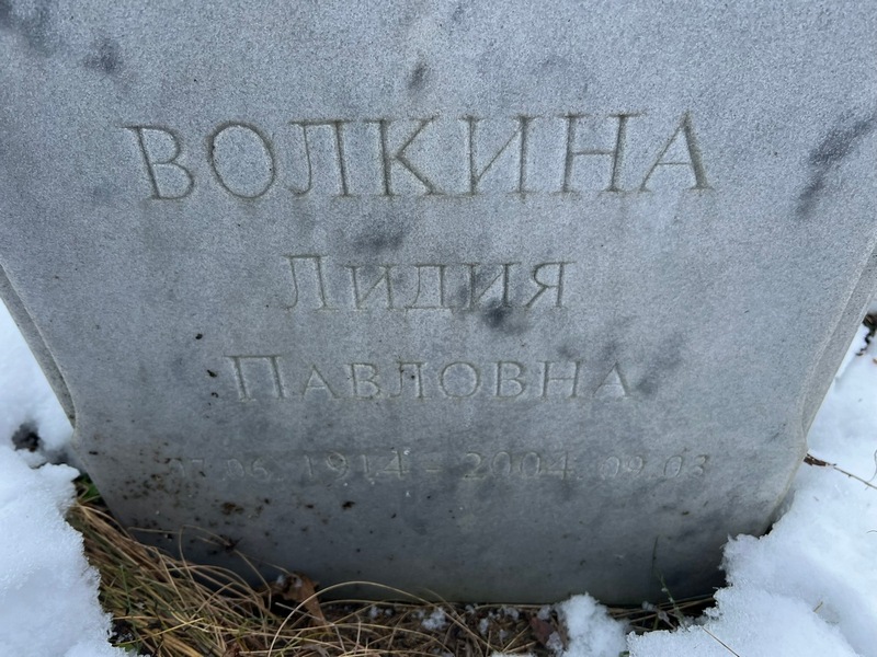 Волкина
