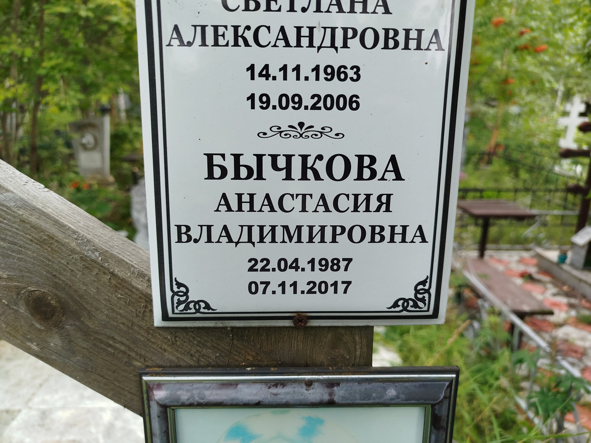 Бычкова Анастасия Владимировна