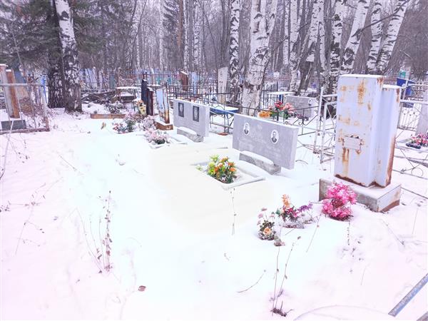 Гребенев Владимир Витальевич