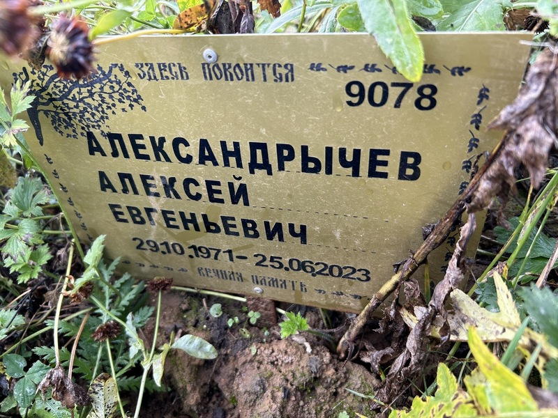 Александрычев