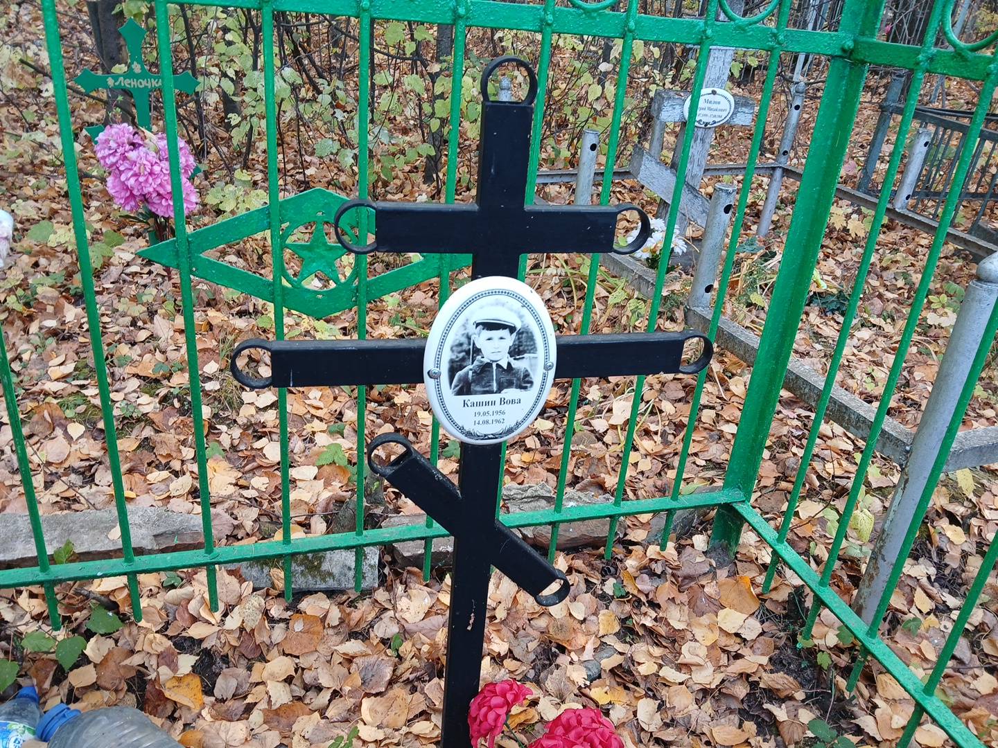 Кашин Вова