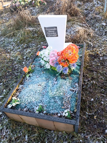 Чистякова Ирина Сергеевна