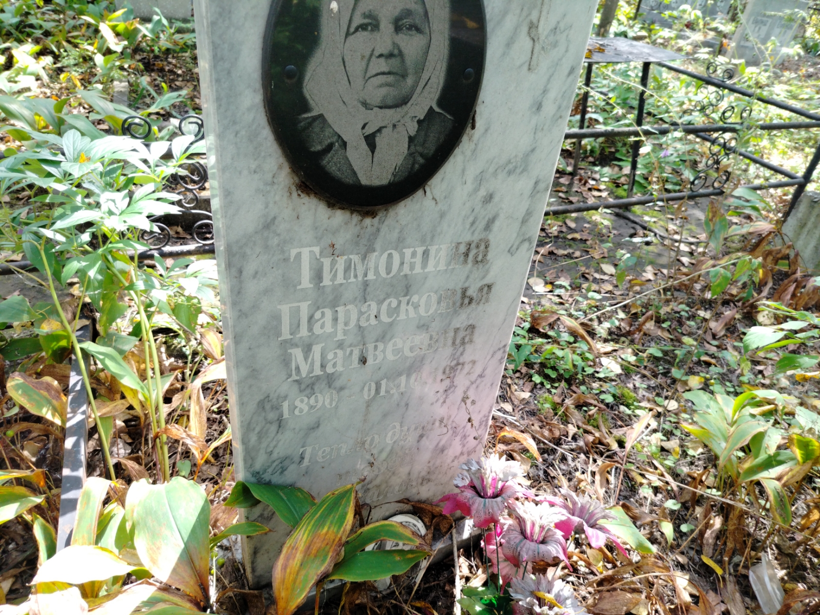 Тимонина Парасковья Матвеевна