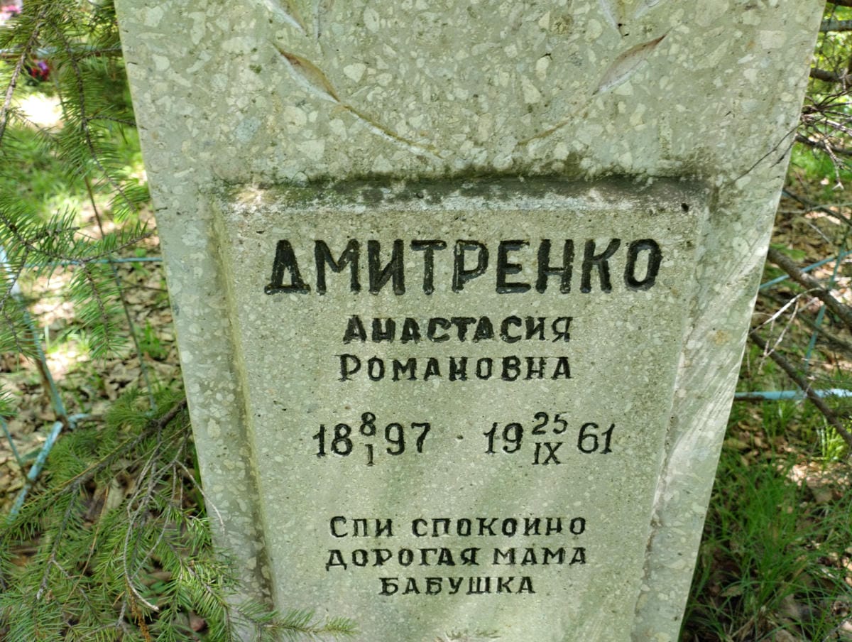 Дмитренко Анастасия Романовна