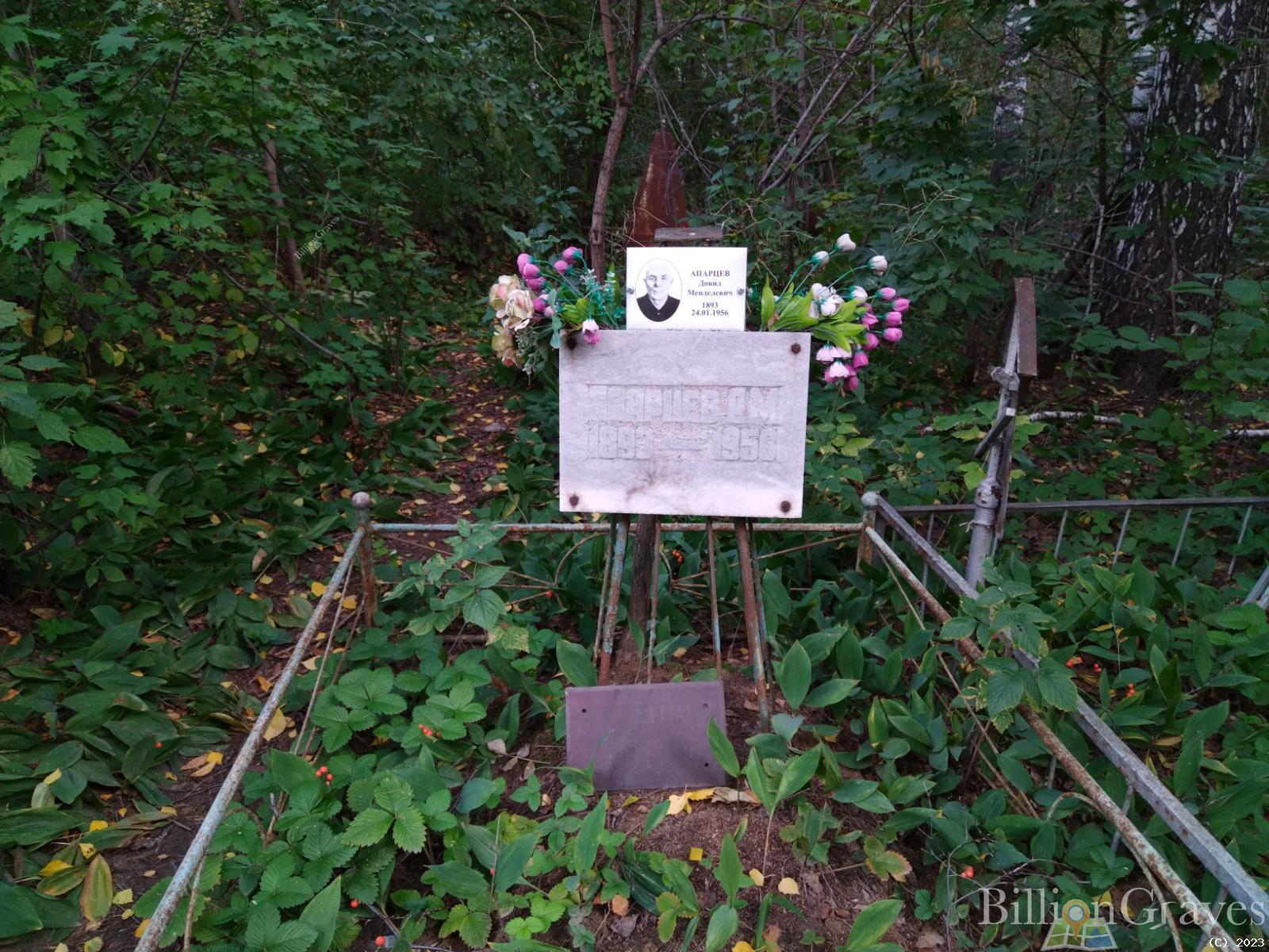 Апарцев Довид Менделеевич