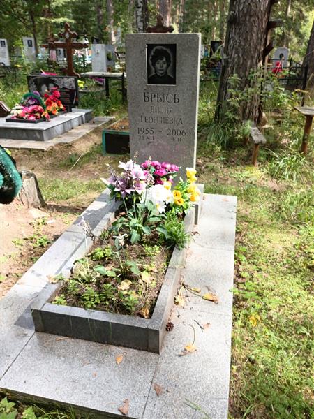 Брысь Лилия Георгиевна