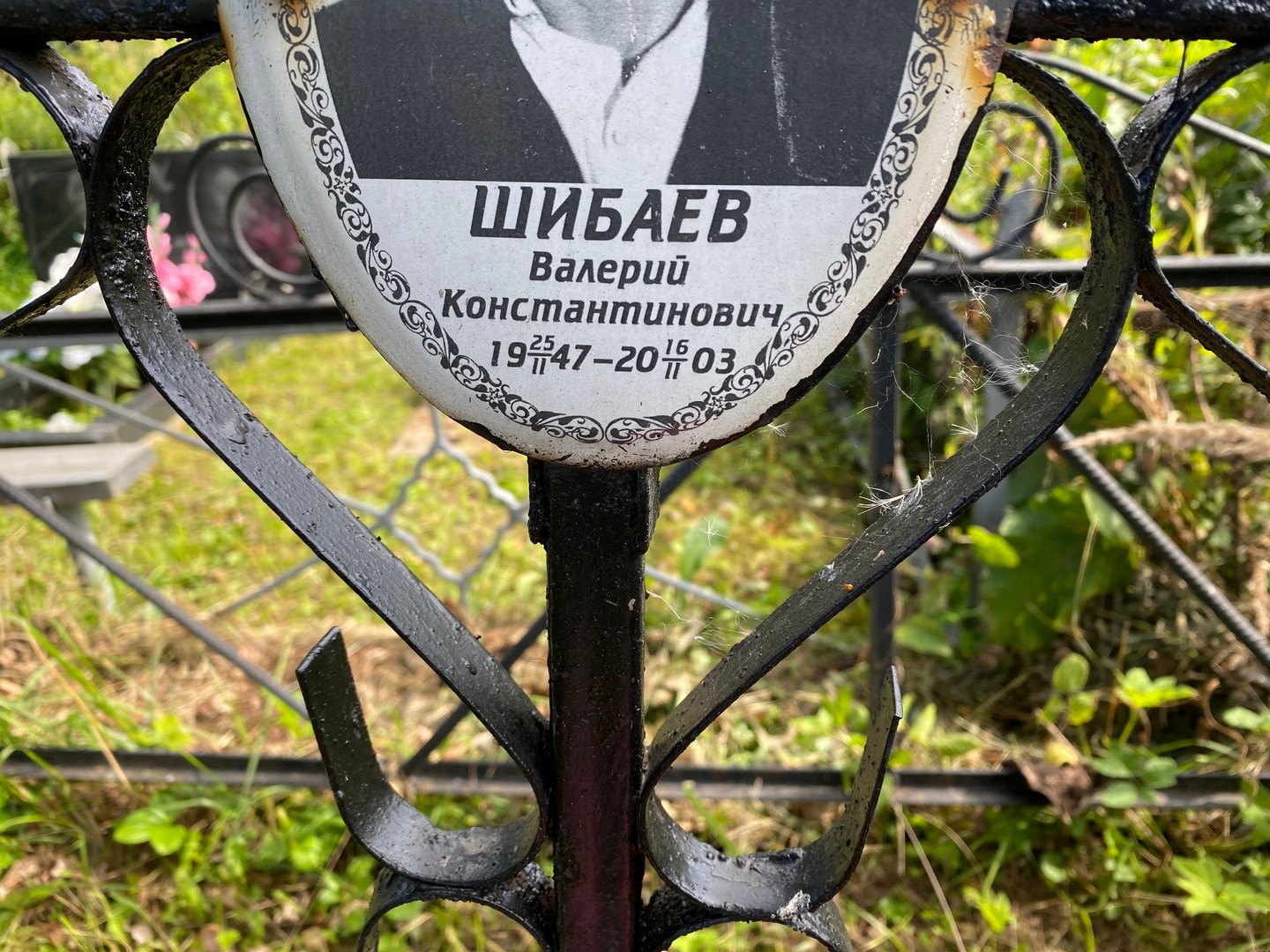 Шибаев