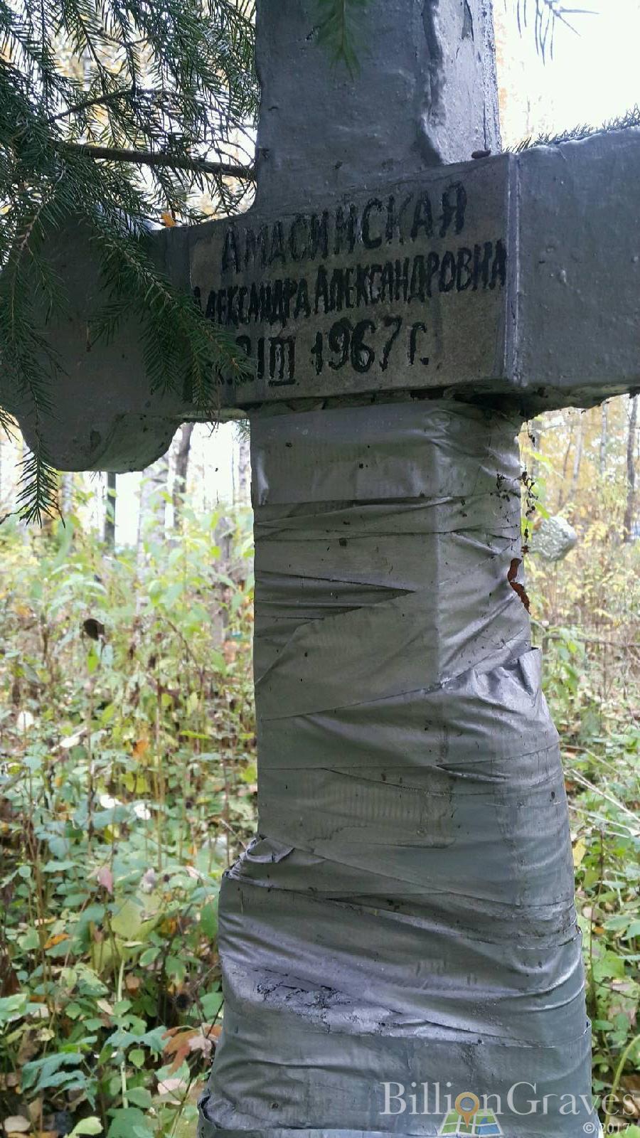 Амасийская Александра Александровна