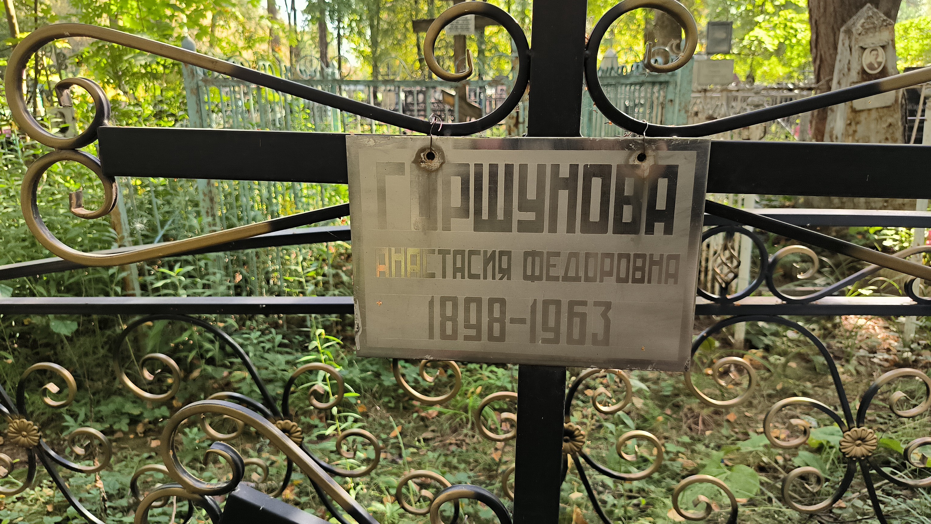 Горшунов Василий Васильевич