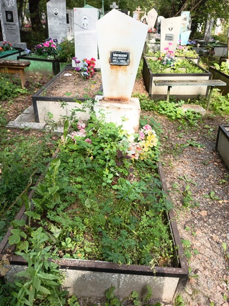 Матвеева Анна Алексеевна