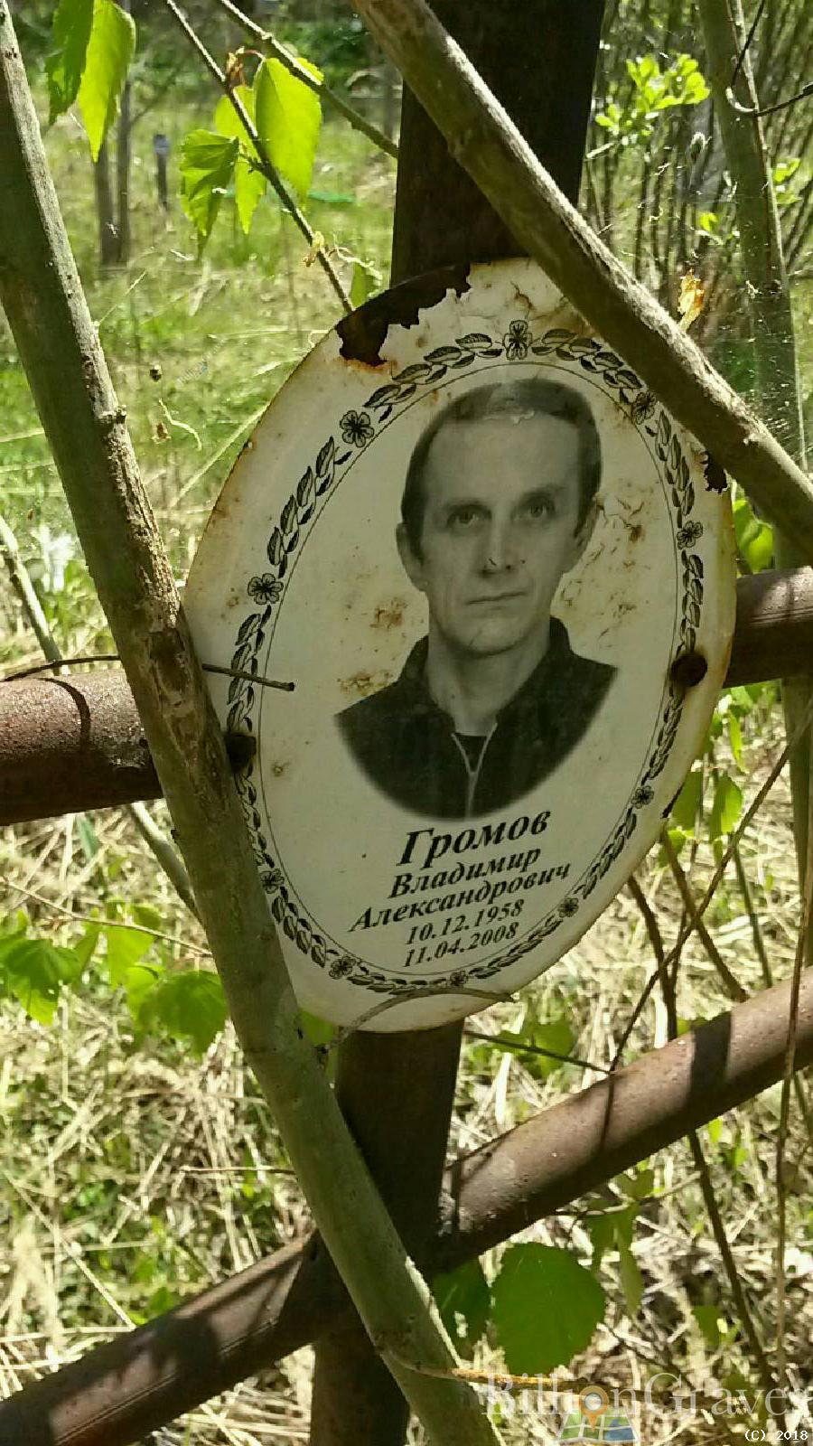громов владимир Александрович