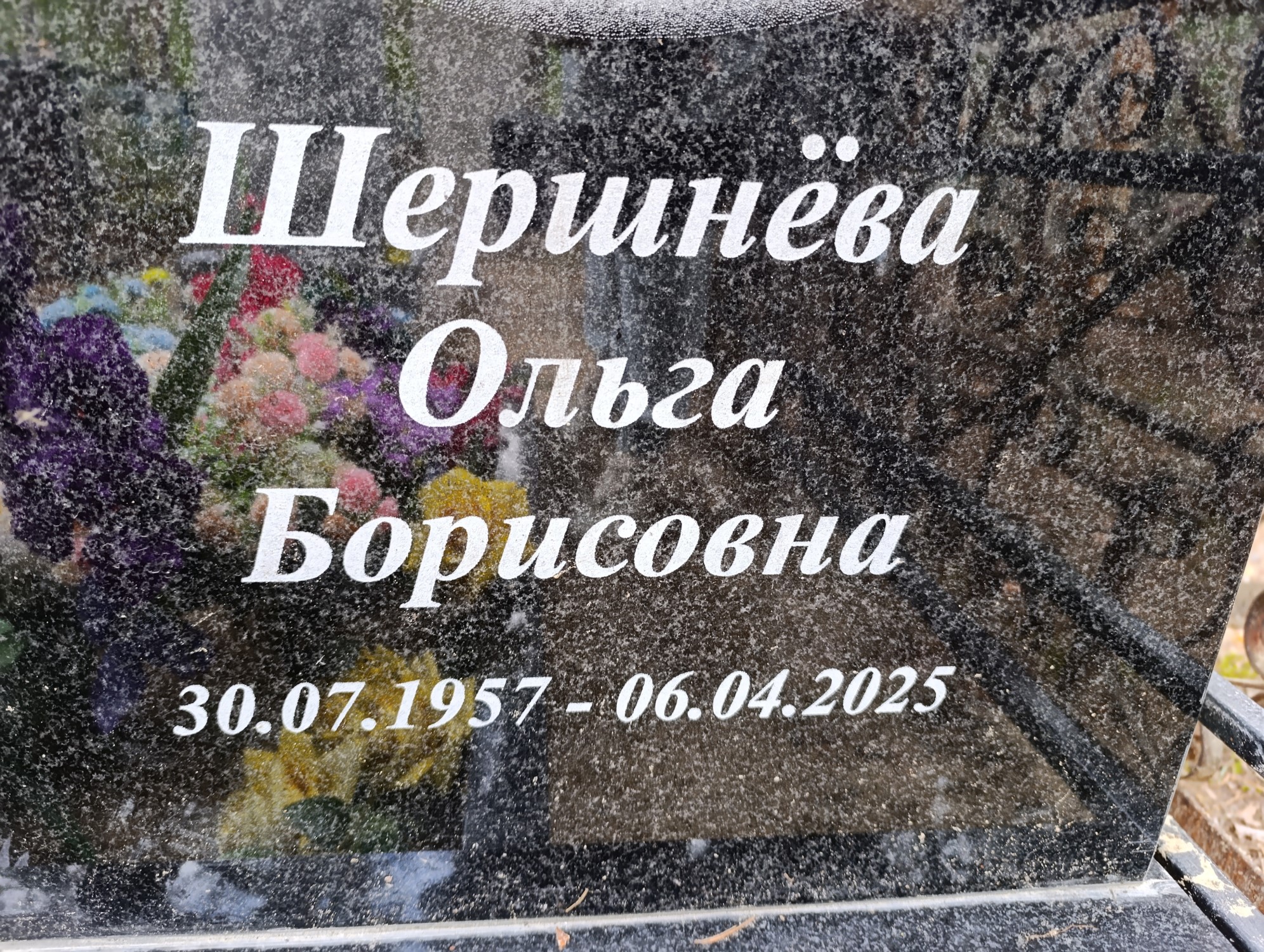 Шершнёва Ольга Борисовна