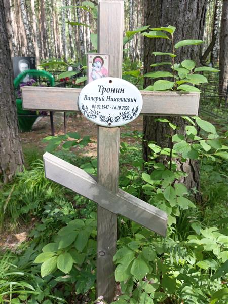 Тронин Валерий Николаевич