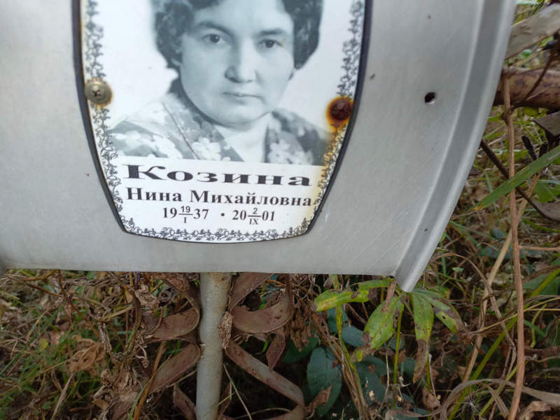 Козина