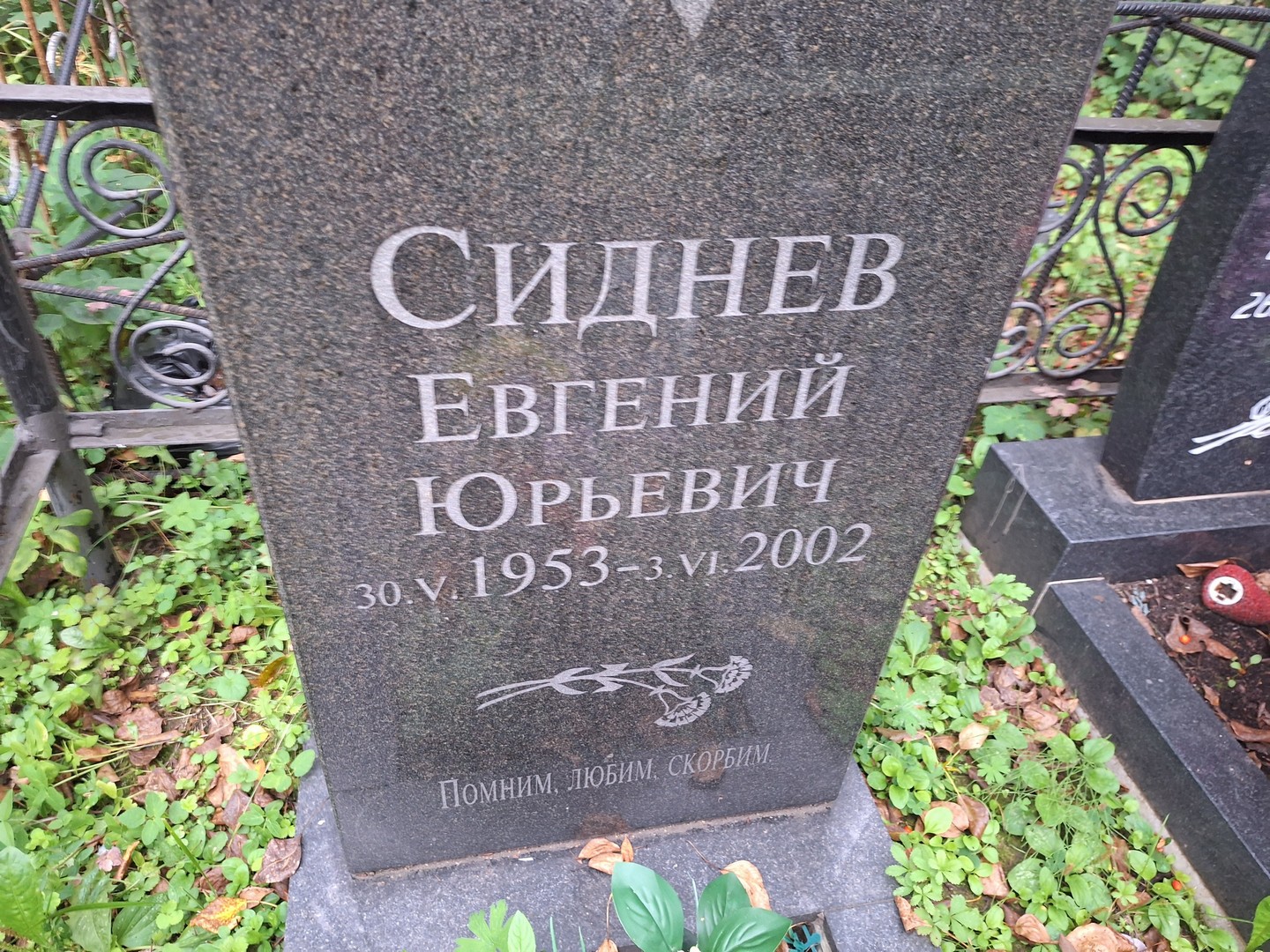 Сиднев