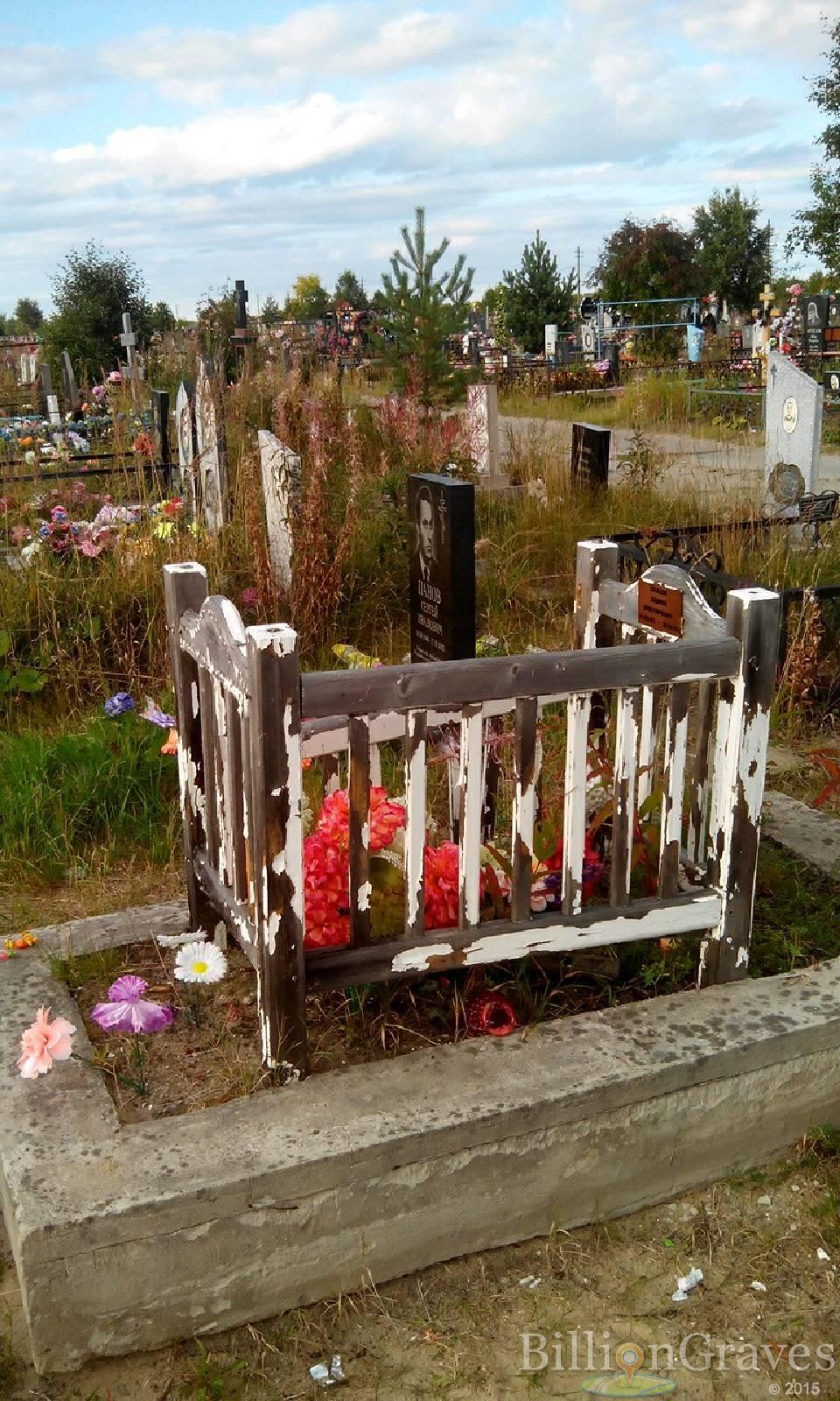 Власов Андрей Викторович