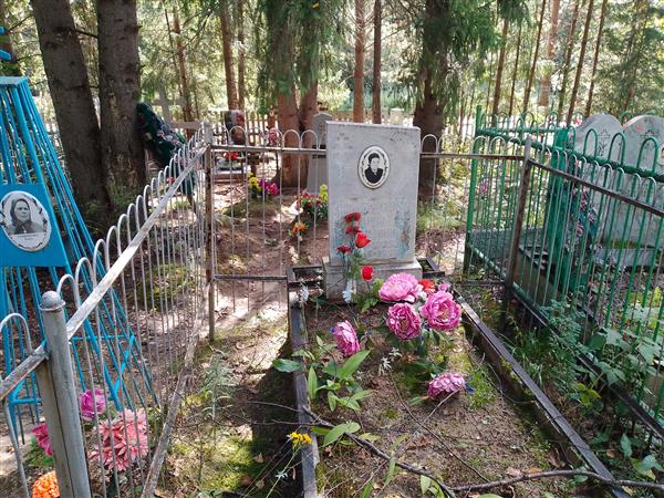 Синебрюхова Анна Артемовна