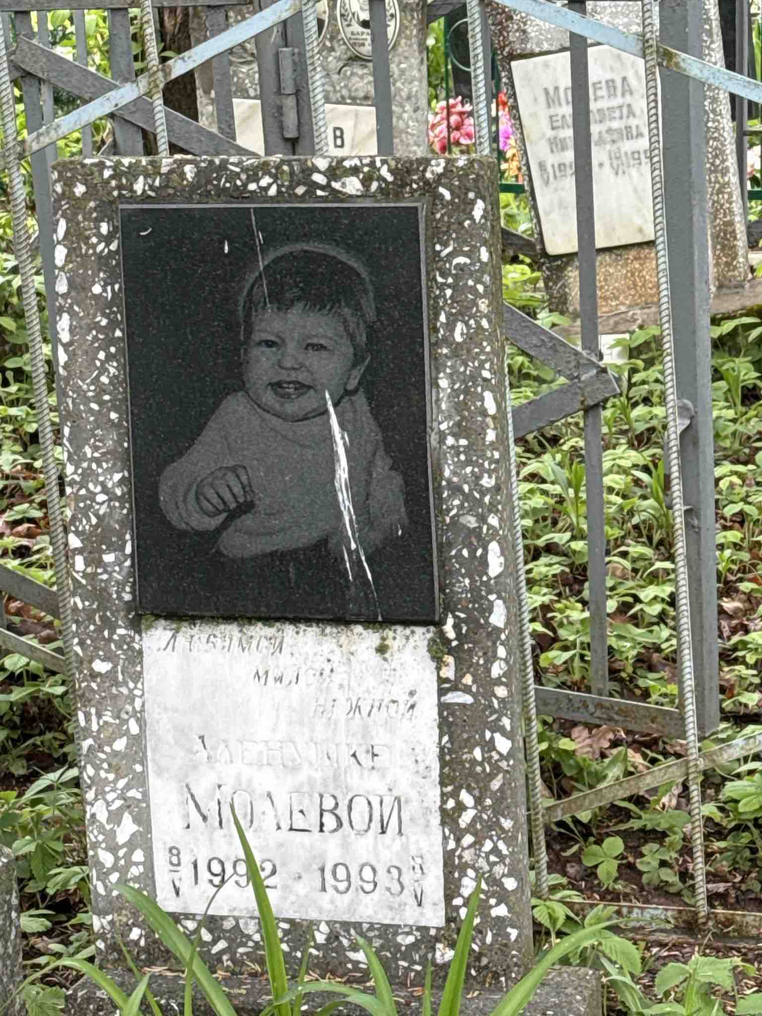 Молева Аленушка