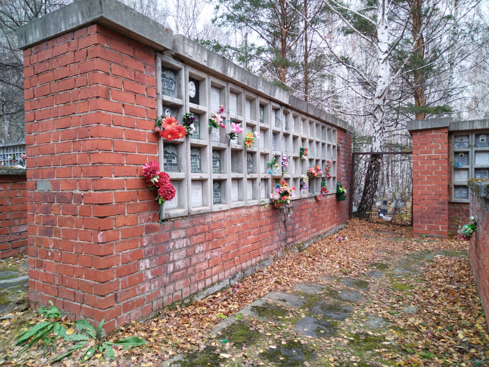 Мурашов Лев Петрович